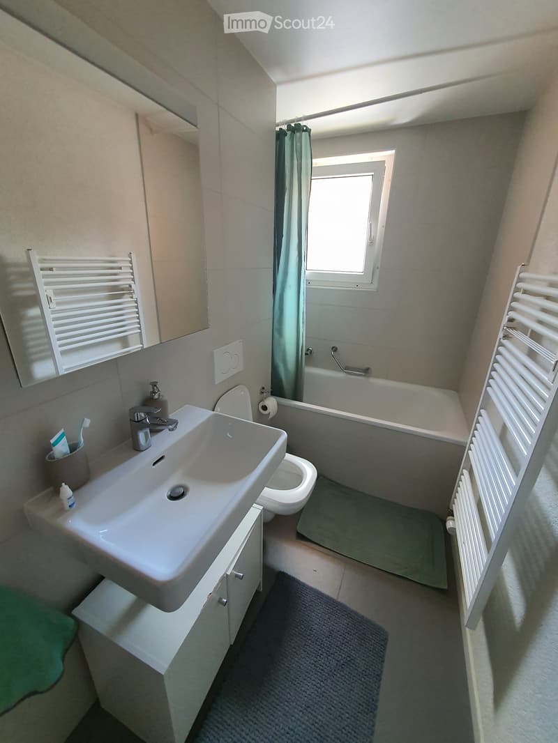Appartement 4 Zimmer zur Miete (4)