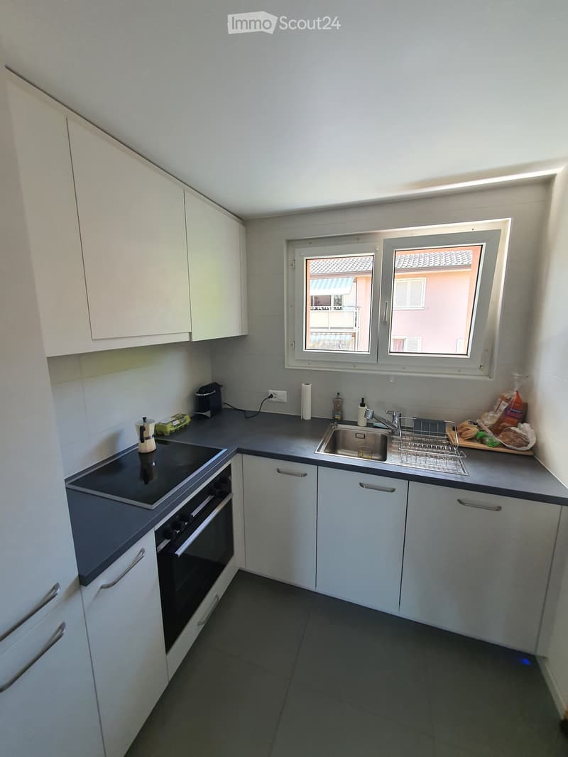 Appartement 4 Zimmer zur Miete (2)