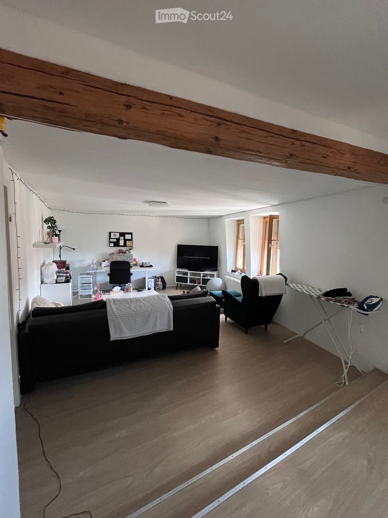 Appartamento di 2,5 locali a La Neuveville (2)