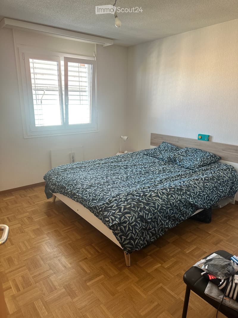 Appartamento 3,5 locali (4)