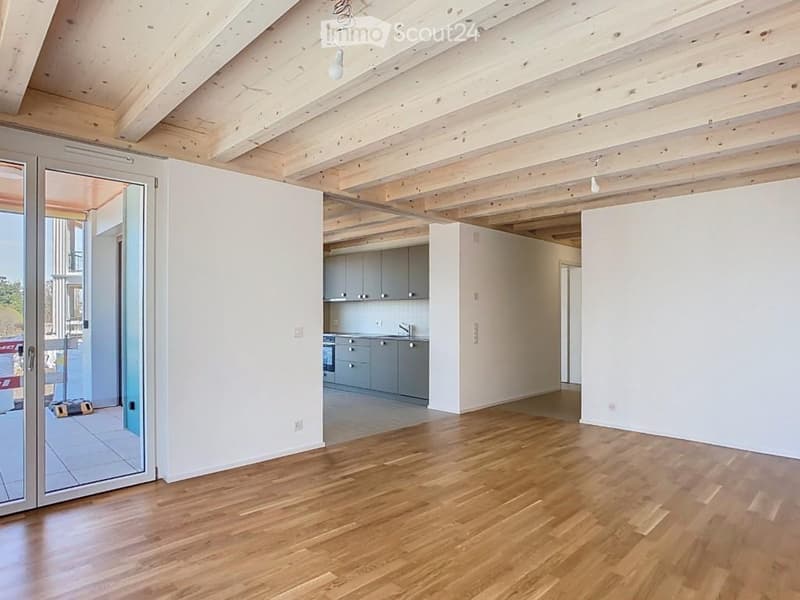 Bellissimo 3.5 locali nuovo, vista lago e città vecchia (4)