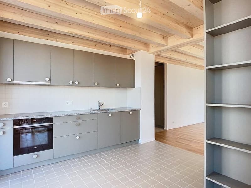 Bellissimo 3.5 locali nuovo, vista lago e città vecchia (3)