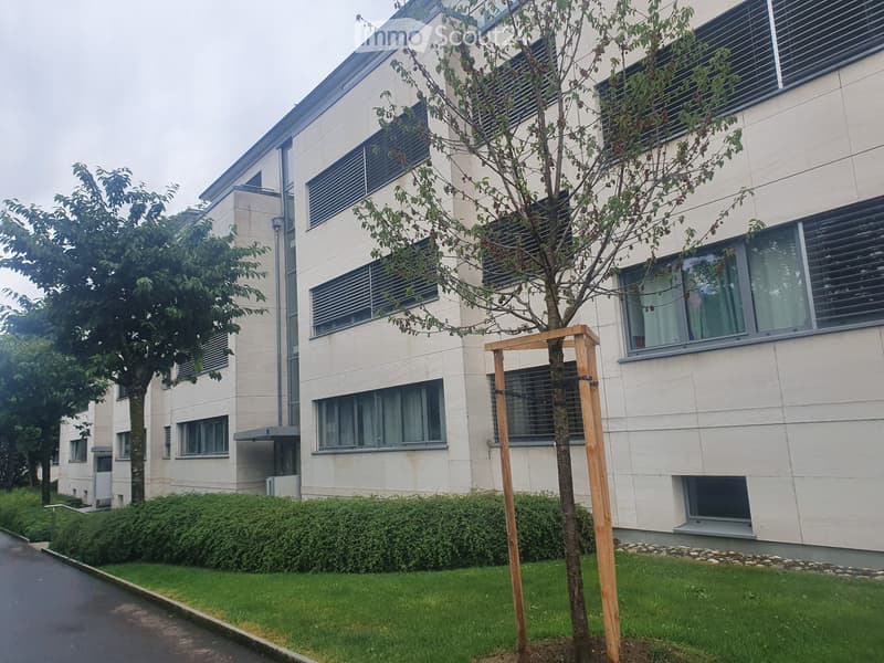 Bell'appartamento nel centro di Morges (3)