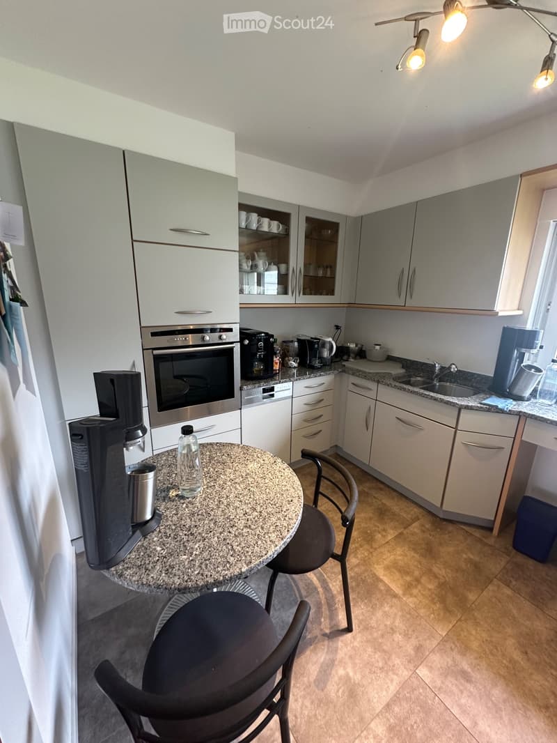 Top apartment with rental shares and large hall (4)