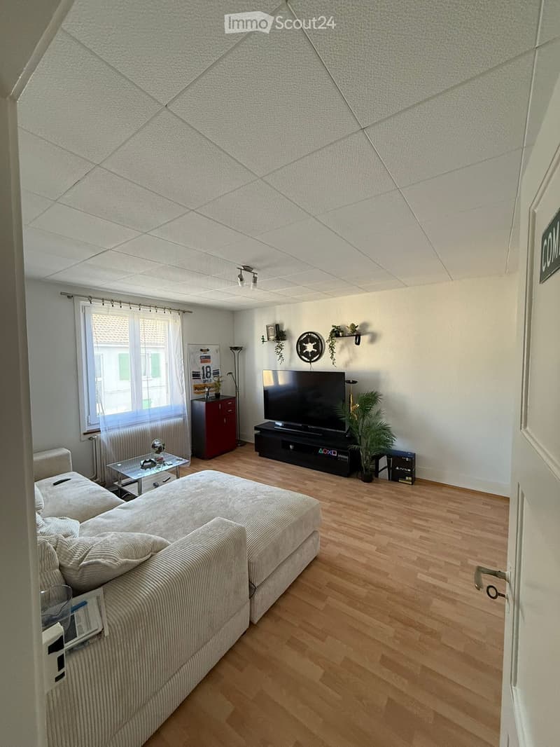 3.5 Room Apartment in Biel/Bienne Subtenant Wanted (1)