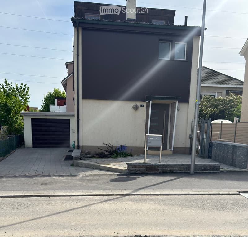 Single-family house (1)