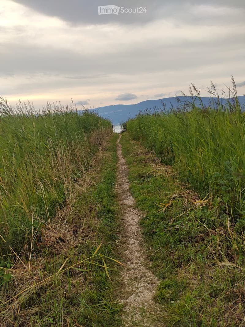 Rara opportunità a Cheyres Casa sul lago (4)