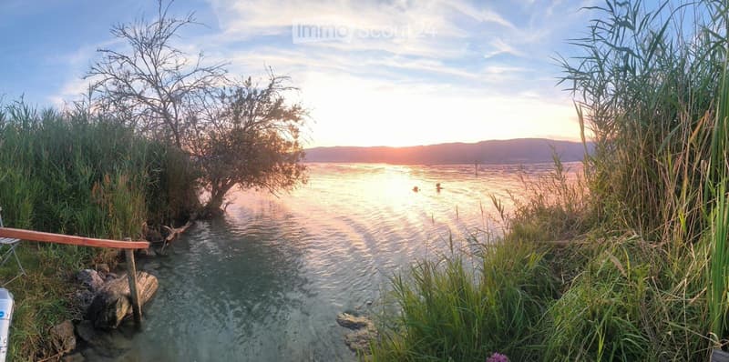 Rara opportunità a Cheyres Casa sul lago (1)