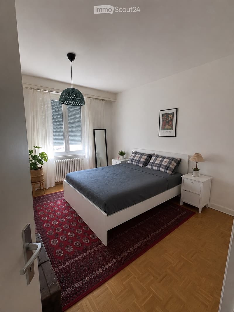 Appartement 4,5 pièces à louer Eaux-Vives (Genève) (4)