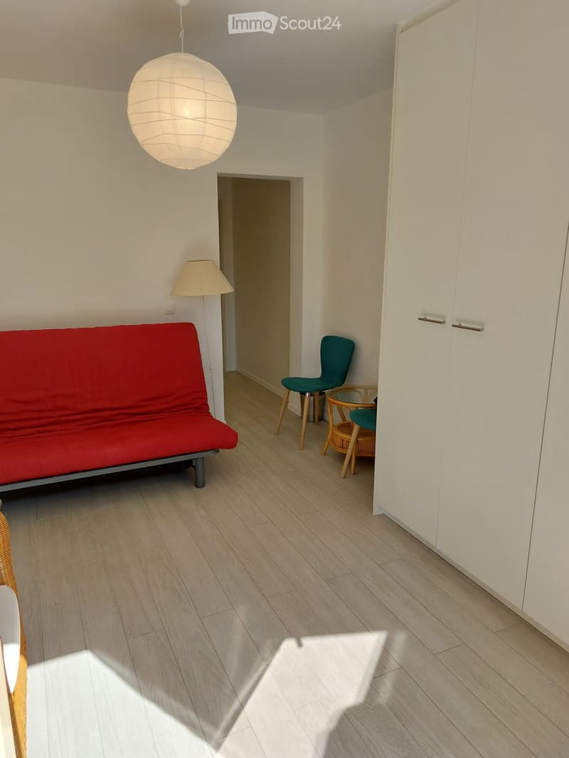 Tannay/VD Au calme - Comfortable studio indépendant (2)
