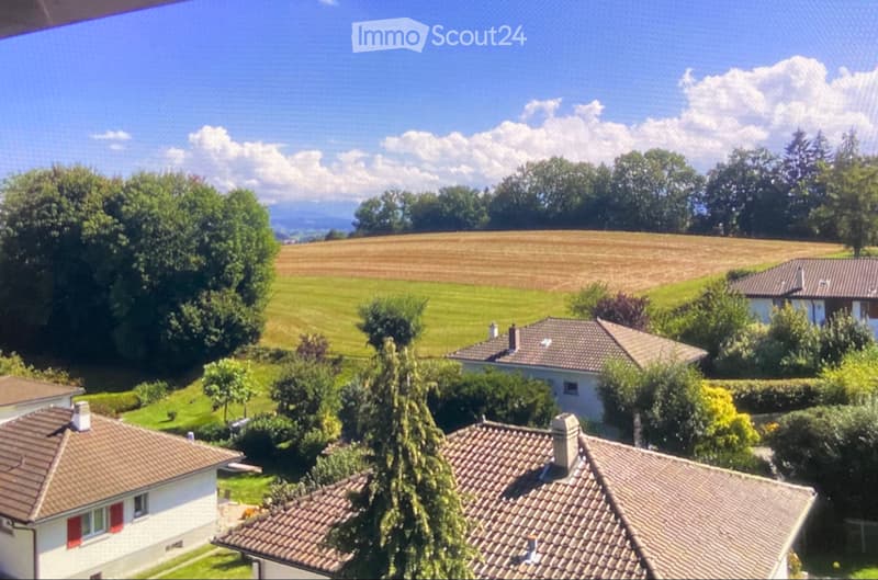 Schönes Studio zur Miete ab 01.08 (1)