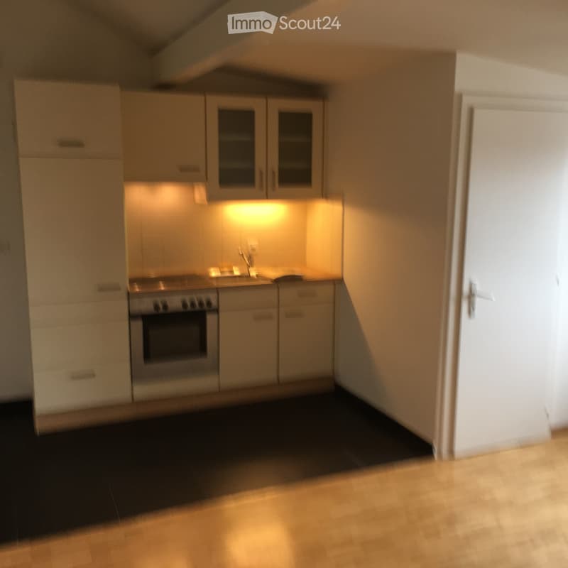 Schönes Studio zur Miete ab 01.08 (4)