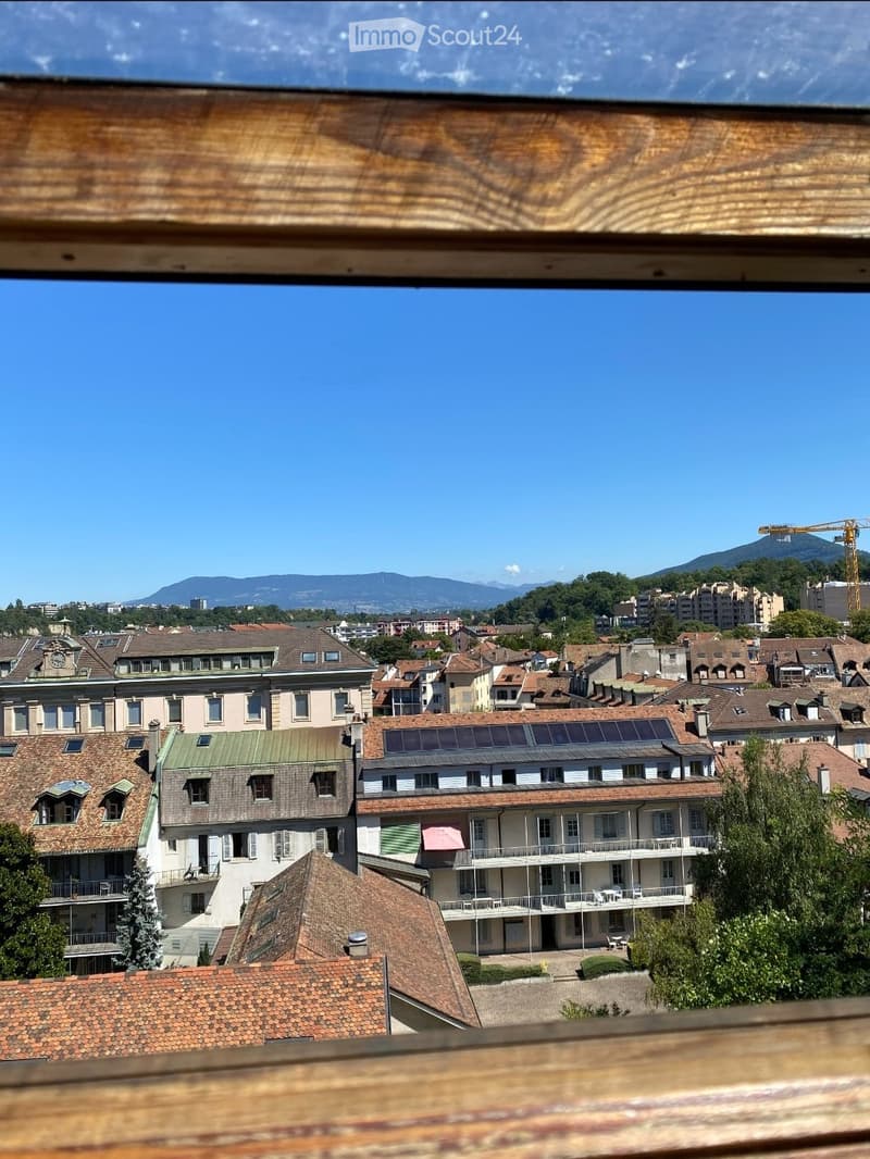 Chambre à louer à Carouge / Room to rent (3)