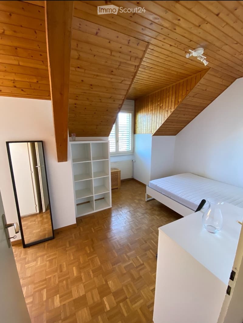 Chambre à louer à Carouge / Room to rent (1)