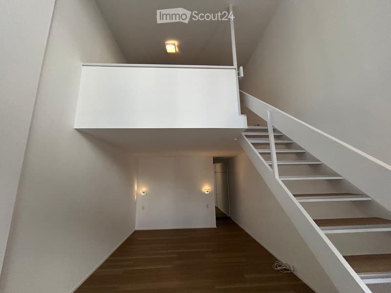 Soluzioni abitative disponibili nel centro di Lugano (3)