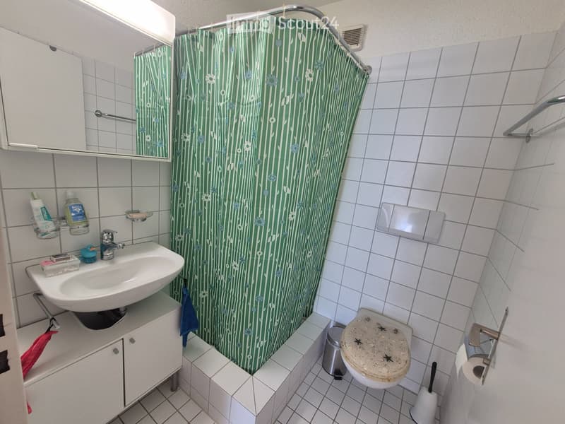 Furnished shared apartment room with private bathroom in Zurich (5)