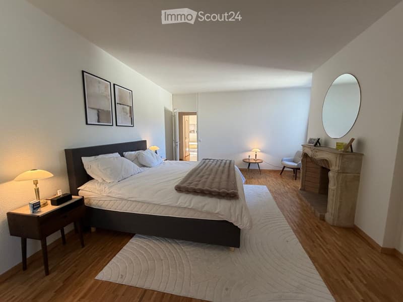 Appartement standing au cur de la Vieille Ville de Genève (3)