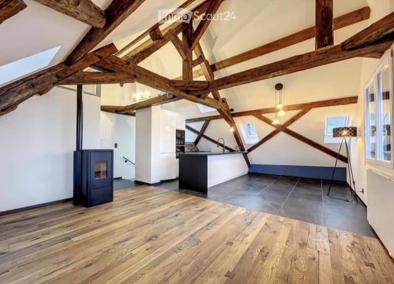 Appartamento 4.5 locali - Duplex (1)