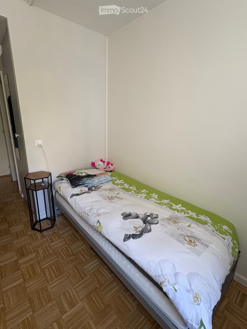 Alloggio studentesco a Plainpalais (2)