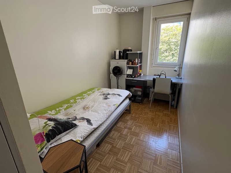 Alloggio studentesco a Plainpalais (1)