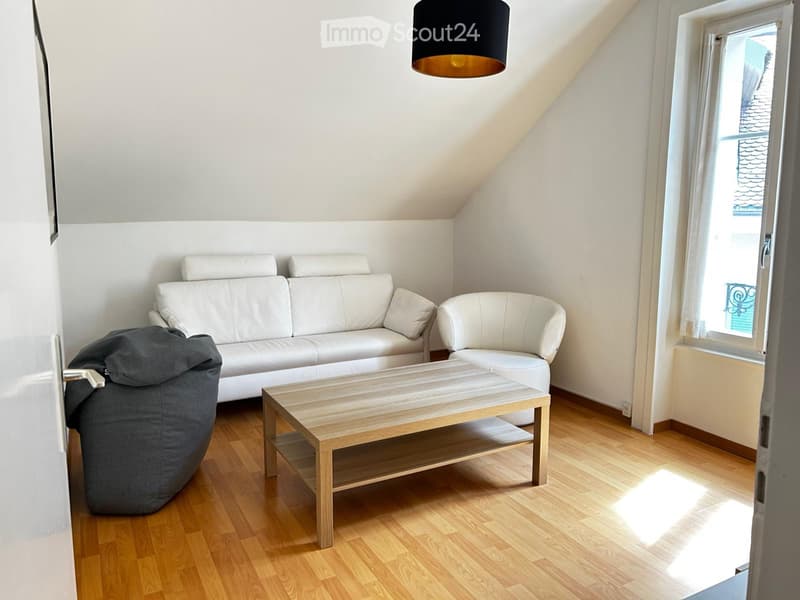 Furnished sublet in the heart of Lausanne (1)