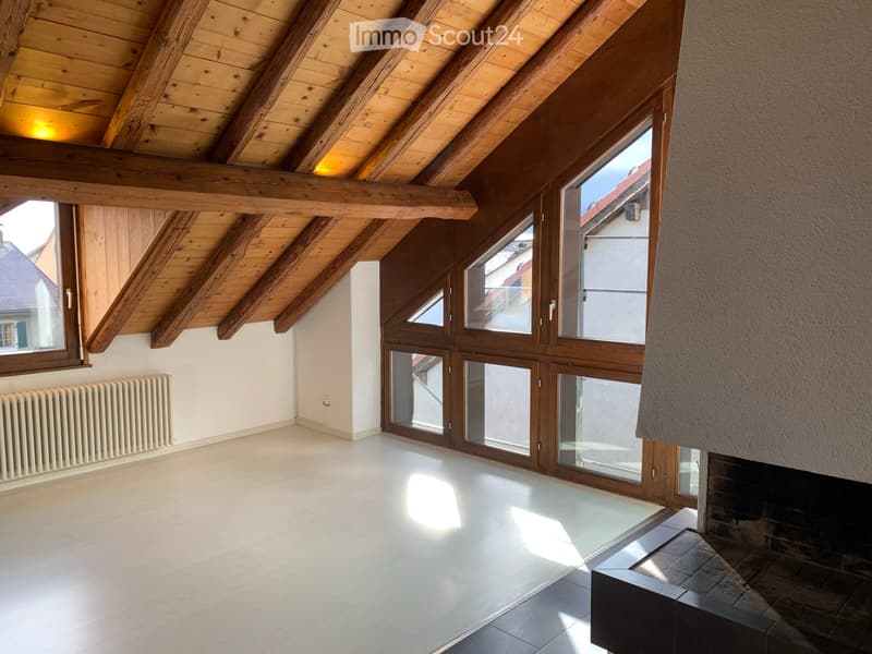 For rent beautiful 4.5-room apartment with countryside view (4)