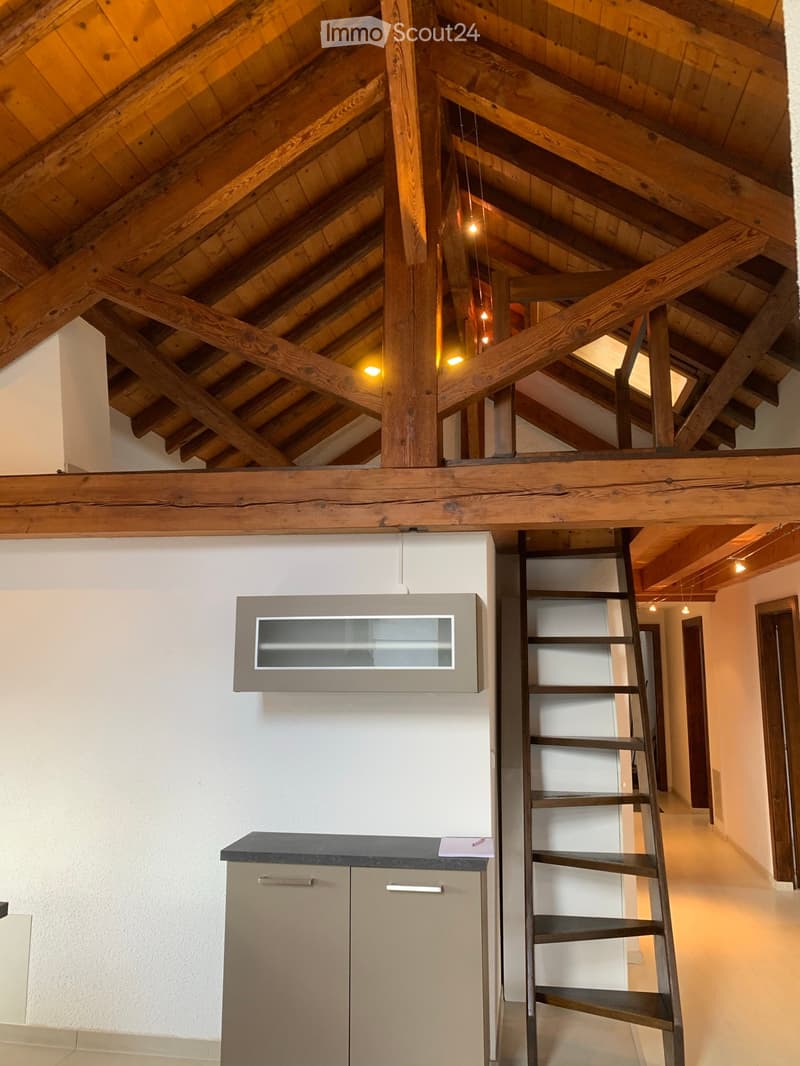 For rent beautiful 4.5-room apartment with countryside view (2)