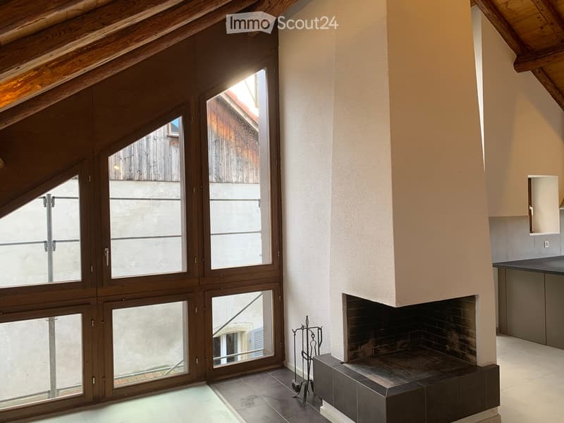 For rent beautiful 4.5-room apartment with countryside view (3)