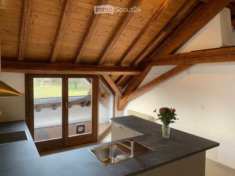 For rent beautiful 4.5-room apartment with countryside view (1)