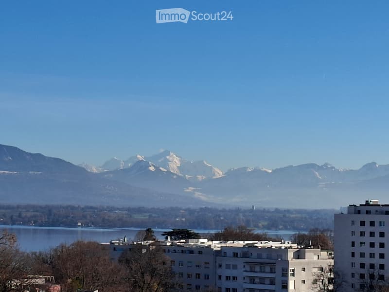 Apartment with balcony Lake view (2)
