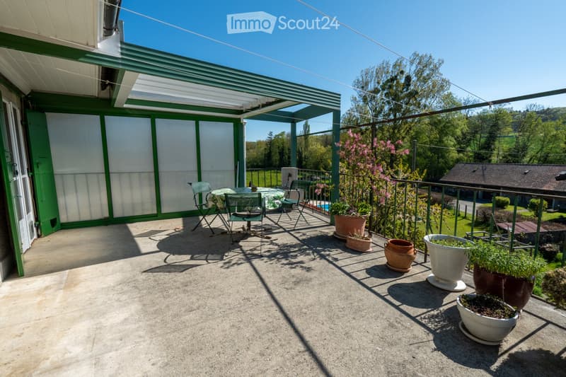 Large 5.5-room apartment with terrace and garden (2)