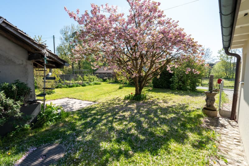 Large 5.5-room apartment with terrace and garden (5)