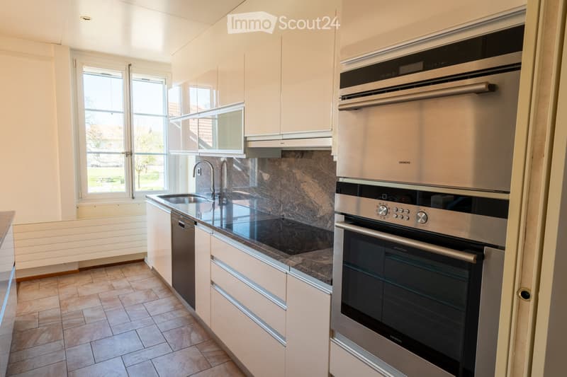 Large 5.5-room apartment with terrace and garden (4)