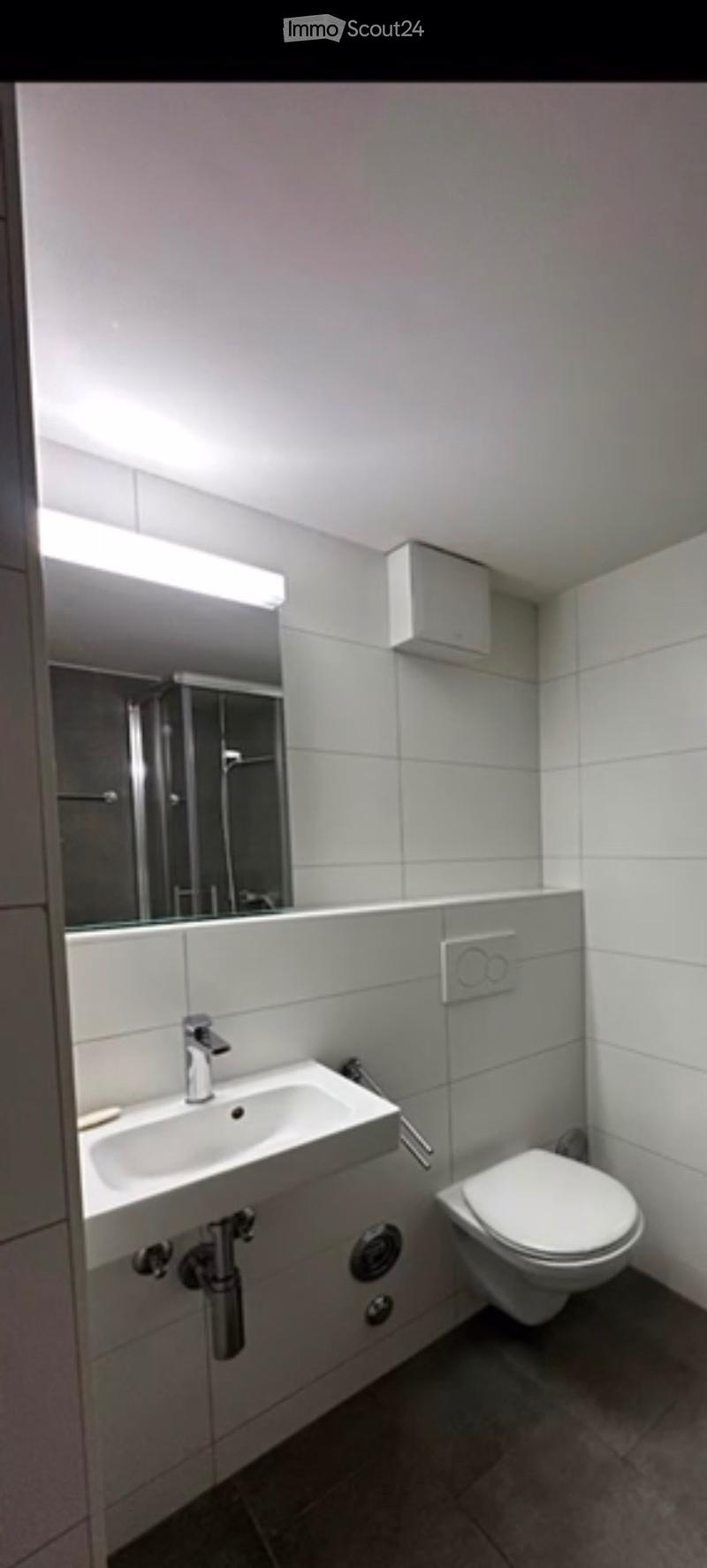 Appartamento di 2,5 locali con balcone e posto auto (3)