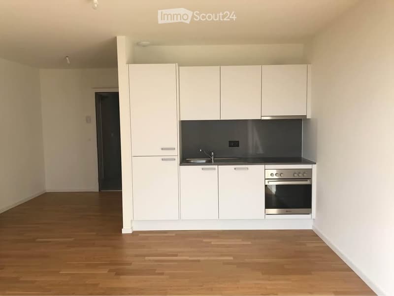 Appartamento 2.5 locali a Crissier - Quartiere Oassis (2)