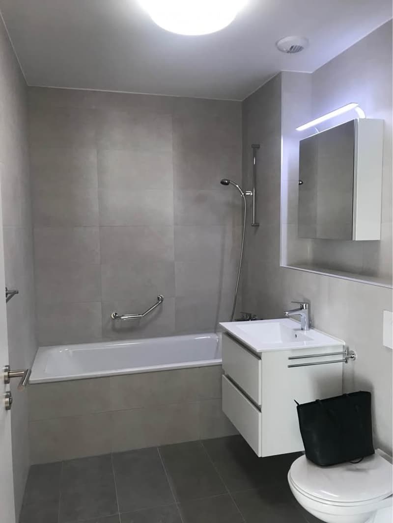 Appartamento 2.5 locali a Crissier - Quartiere Oassis (3)