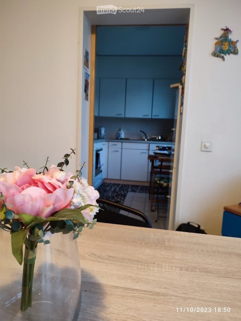 Rent to buy appartamento di 3.5 locali con posteggio (3)