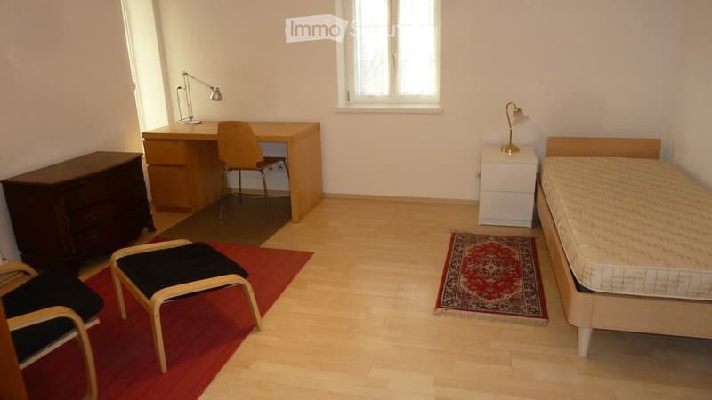 1 Zimmer Studio möbliert (1)