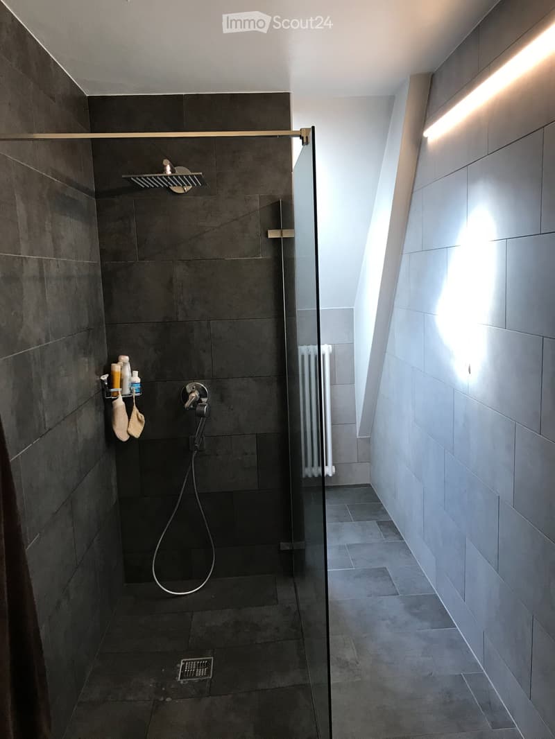 Appartement 3,5 pièce La Chaux-de-Fonds (4)
