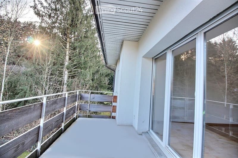 Grand 4.5 pièces avec balcon (2)