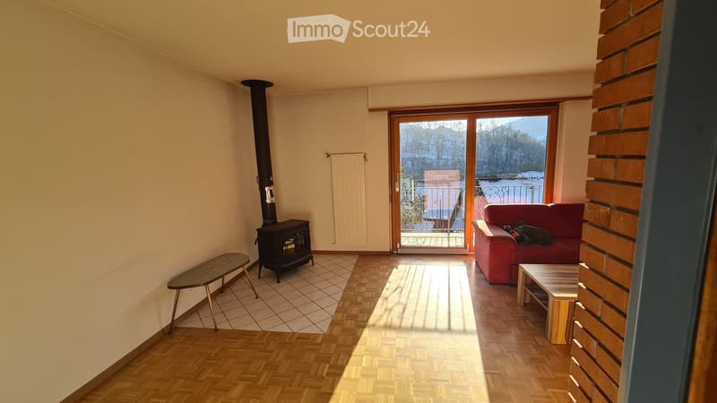 Haus mit Charme und Schlossblick (4)