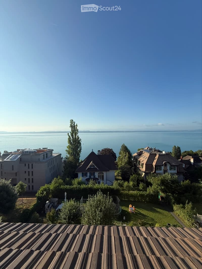 Studio 1 pièce avec magnifique vue sur le lac Neuchâtel (2)