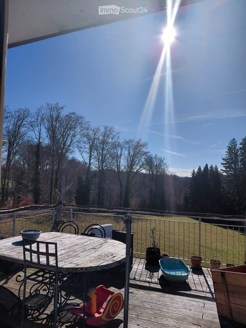 Appartement in einer Genossenschaft mit schöner Terrasse (4)