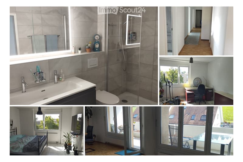 Appartamento di 3,5 locali con ampio balcone soleggiato (2)