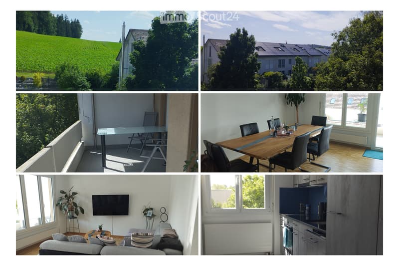 Appartamento di 3,5 locali con ampio balcone soleggiato (1)