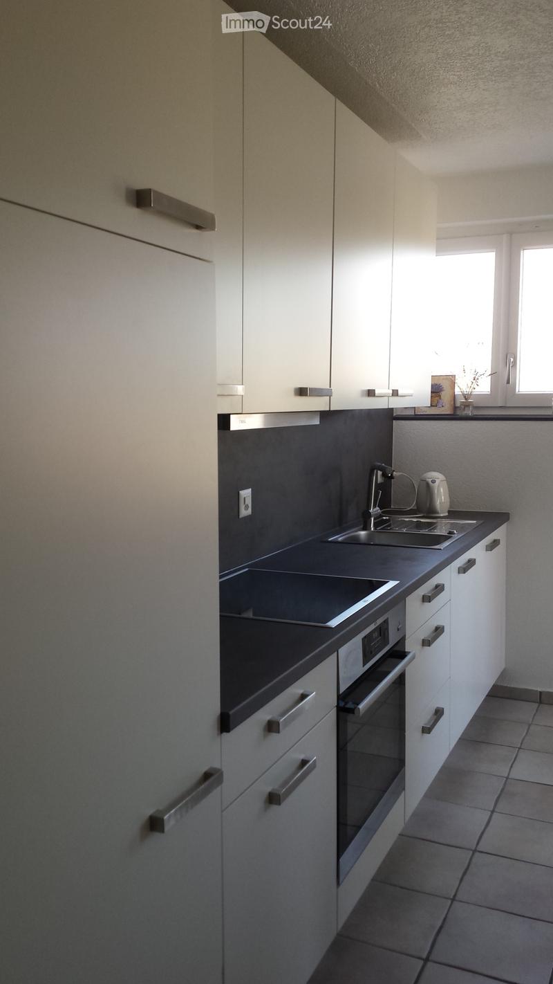 Magnifique appartement avec jardin, à côté du parc Guintzet (4)
