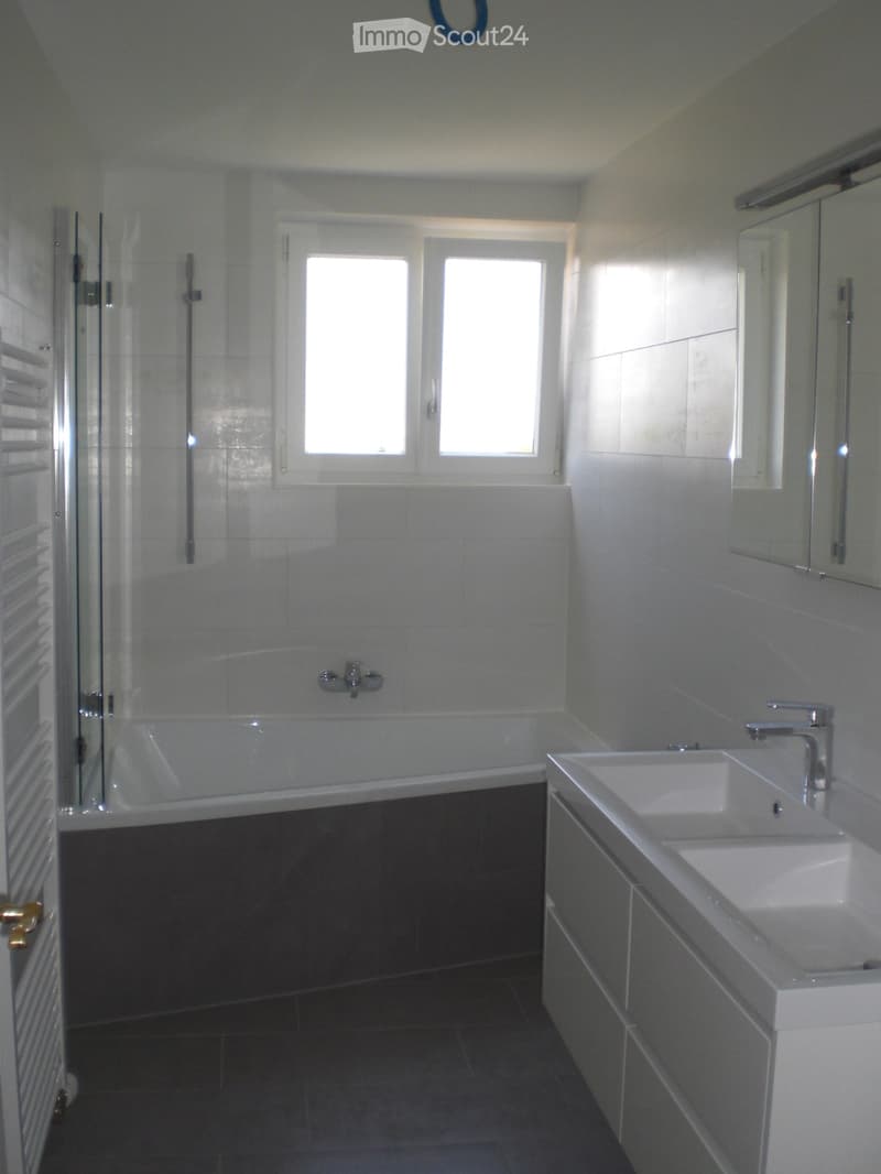 Magnifique appartement avec jardin, à côté du parc Guintzet (5)