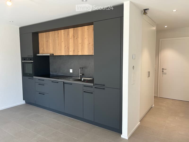 Wohnung 2,5 Zimmer in Essertines neu (1)