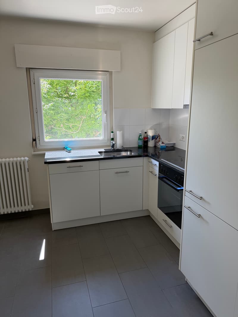 4 Zimmer zur Miete (2)