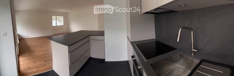 Wohnung in Sion zu verkaufen (9)